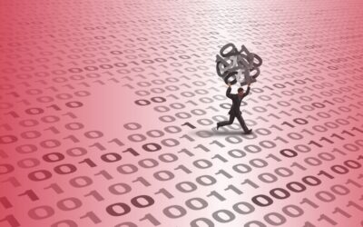 Data Breach on a Budget: The $100 Experiment