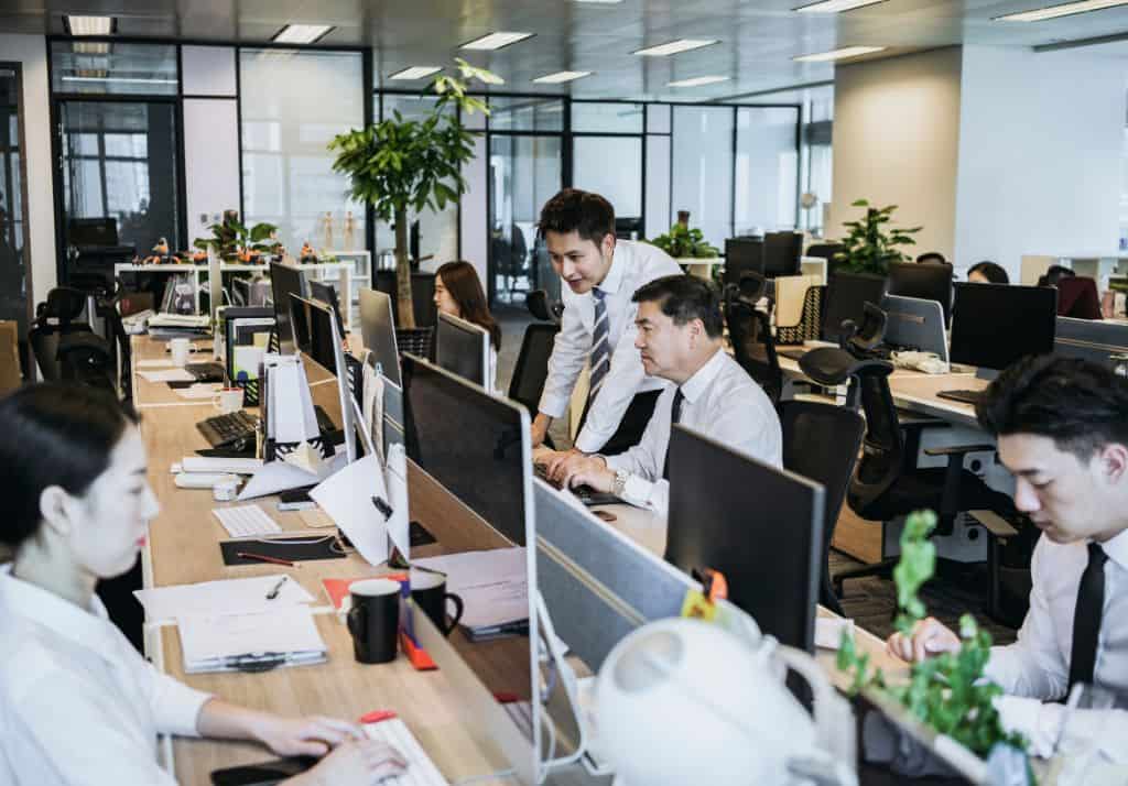 people working at desks in an SME office